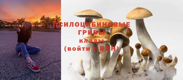 СК Алексеевка