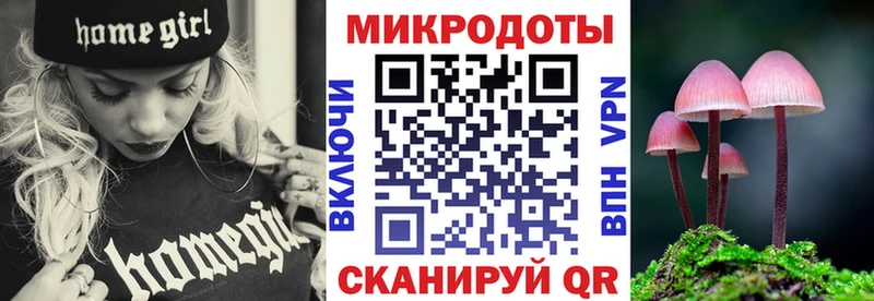 Купить  Всеволожск  Галлюциногенные грибы Psilocybe 