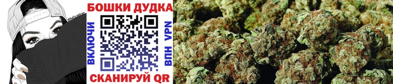 Конопля White Widow  Купить закладки  Всеволожск 